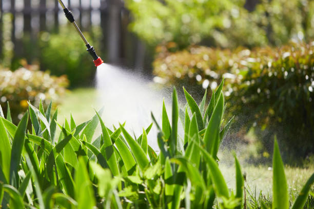 Tamper-Resistant Bait Stations for Rodents in Morrow
