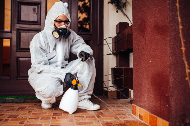 Attic and Crawl Space Rodent Treatment in Morrow