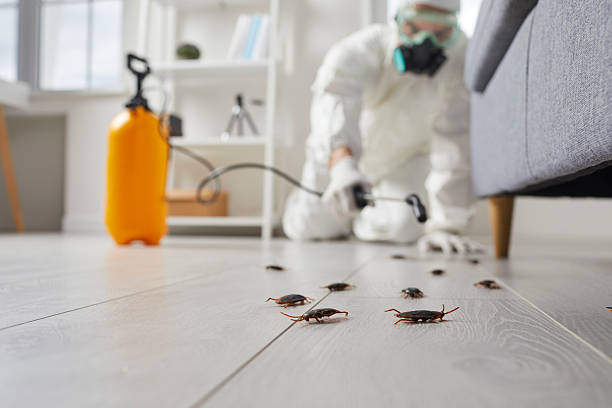 Commercial Rodent Management in Morrow